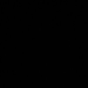 Meet your Posher, Isaiah